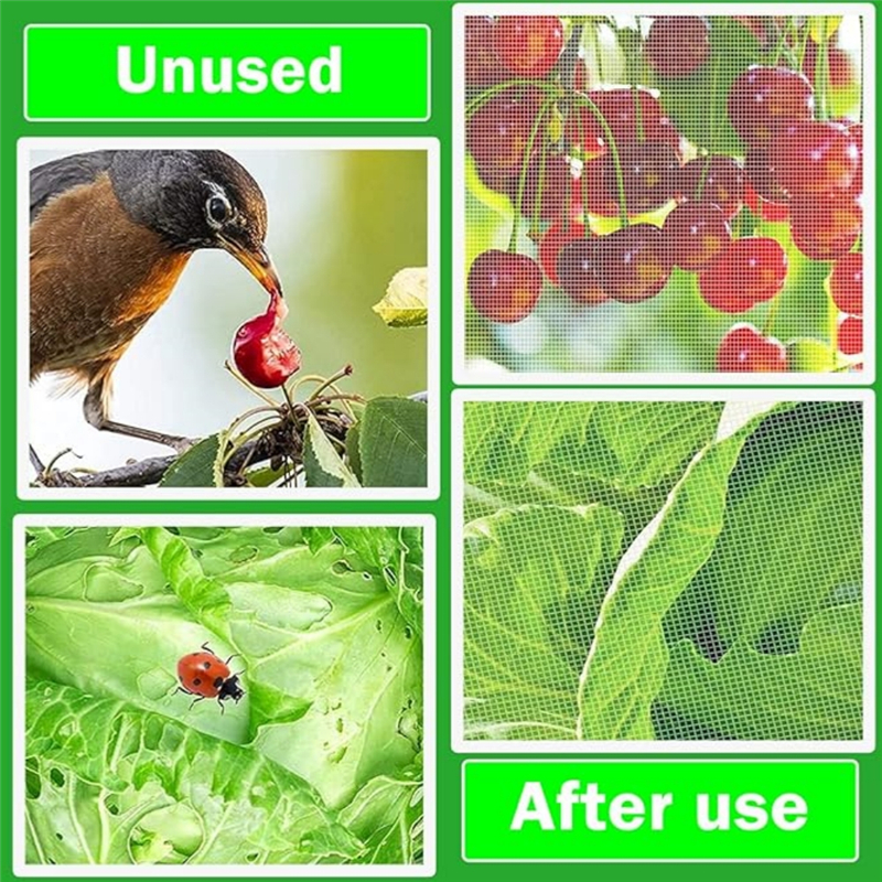 Bird Netting for Fruit Trees: Pros, Cons, and Alternatives