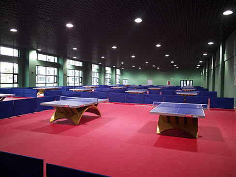 Table Tennis Racket Court Table Tennis Court Flooring, Anti-Slip & Durable Sports Surface, Easy ...