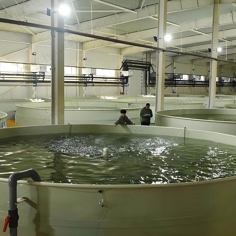 Fertighallen aus Stahl für die Aquakultur