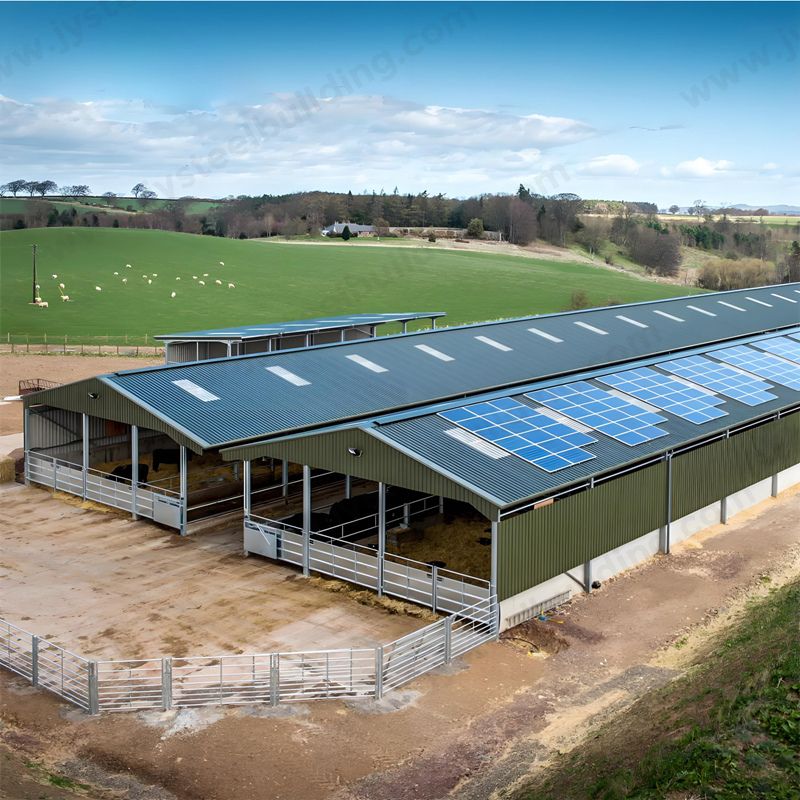 مقاول إنشاءات الهياكل الحديدية لمشروع مزرعة الماشية