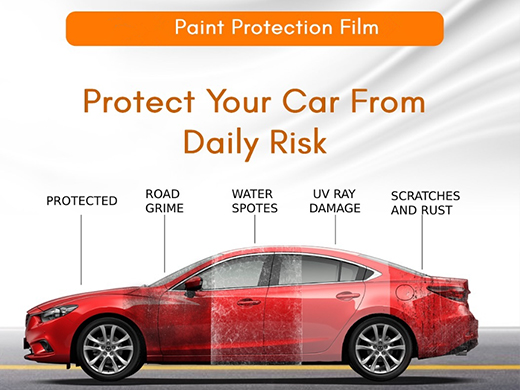 What are the functions of PPF ?