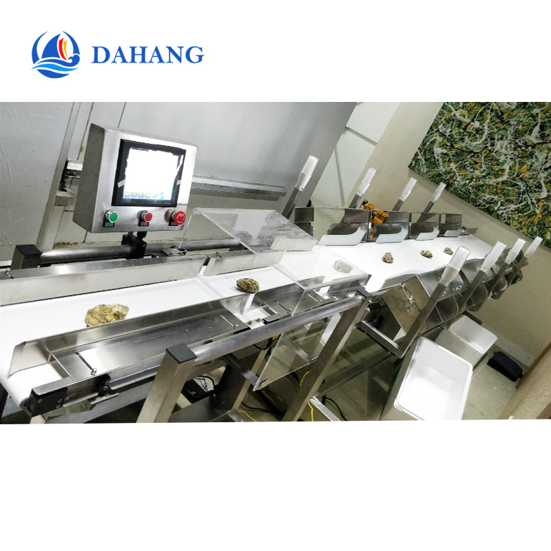 Oyster automatic sorting machine's application in oyster ...