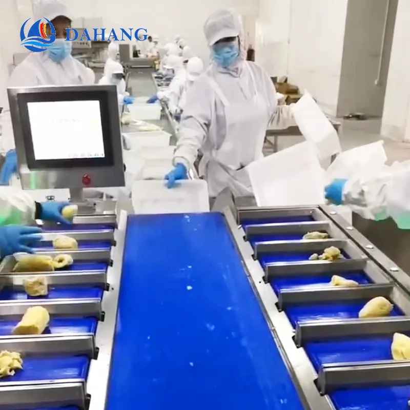 durian batching machine: The Perfect Combination of Delicacy and Technology