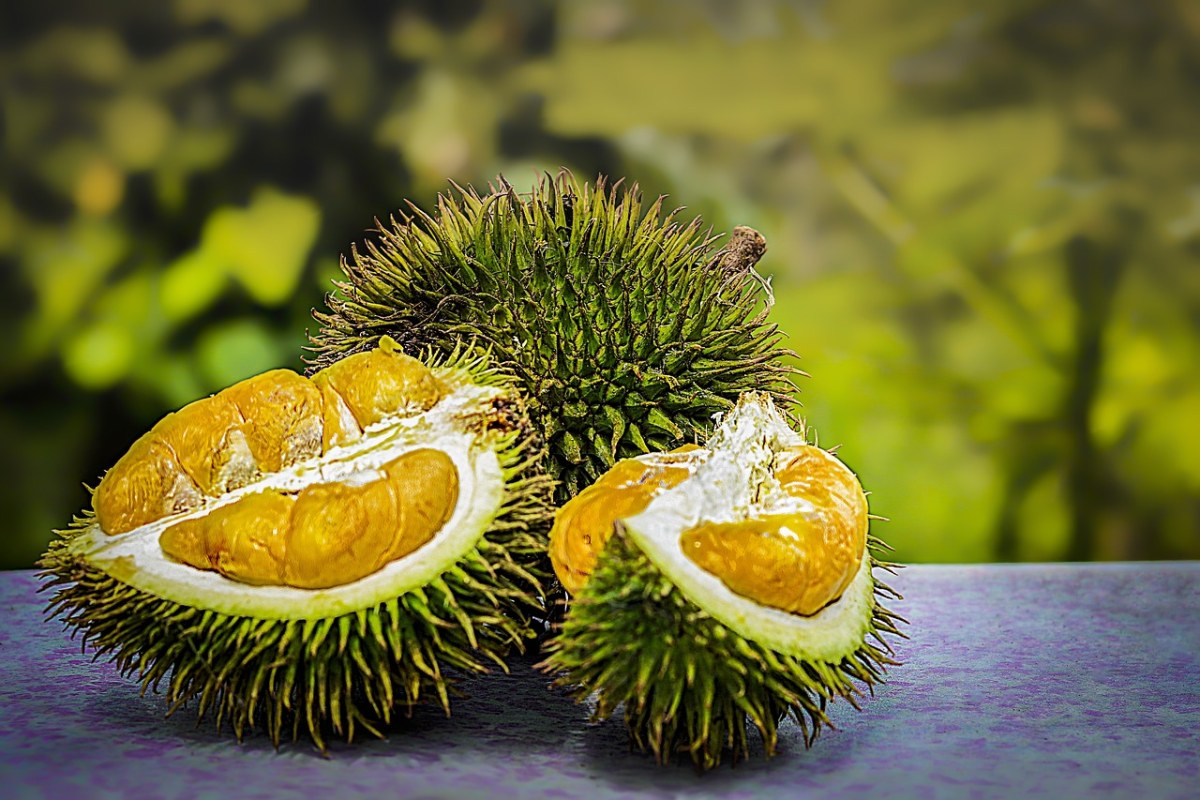 Durian Weight Sorting Machine: Black Technology Empowers a New Fruit Selection Experience