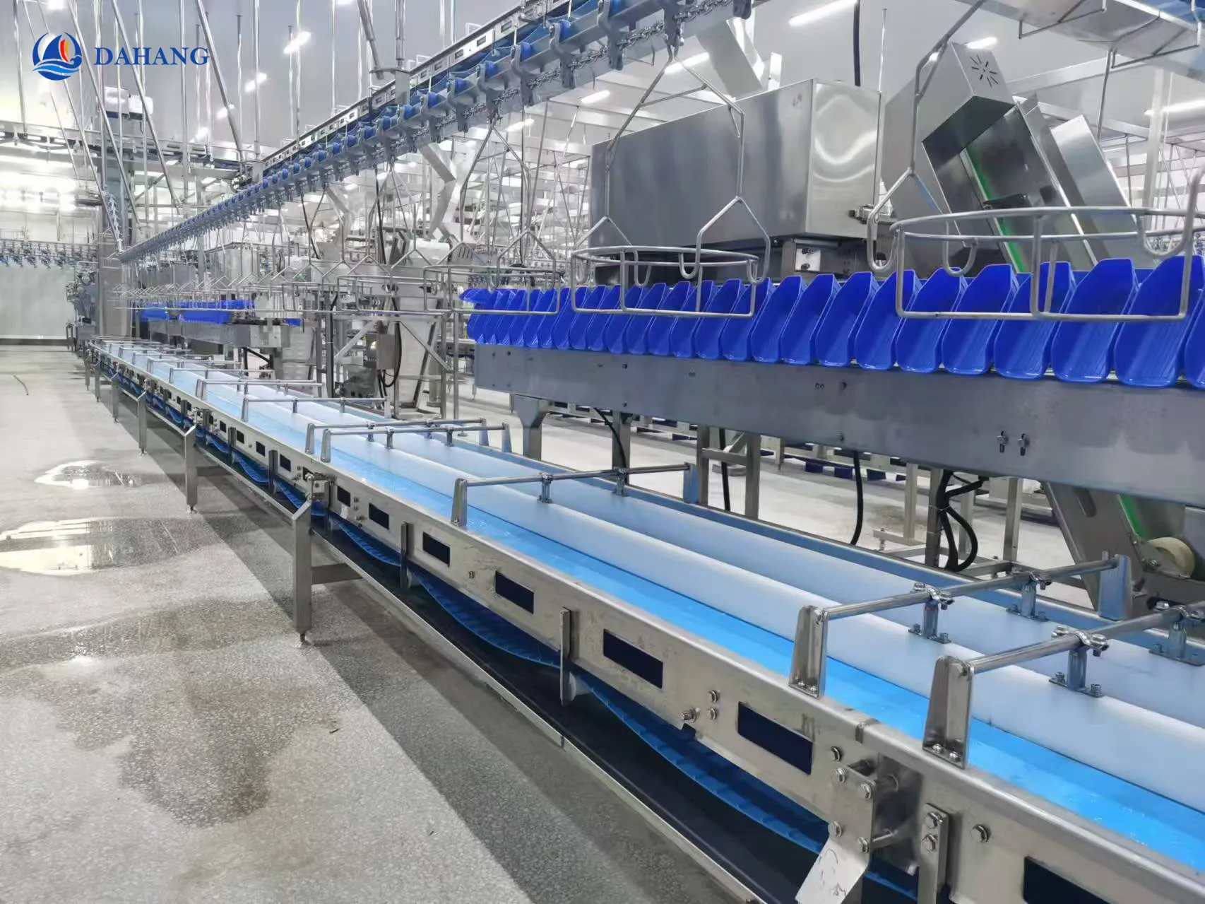 Chicken feet rotary tray weight graders.Weight sorting scale.