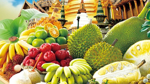 Automated Fruit Sorting Machines: Enhancing Efficiency Across the Supply Chain