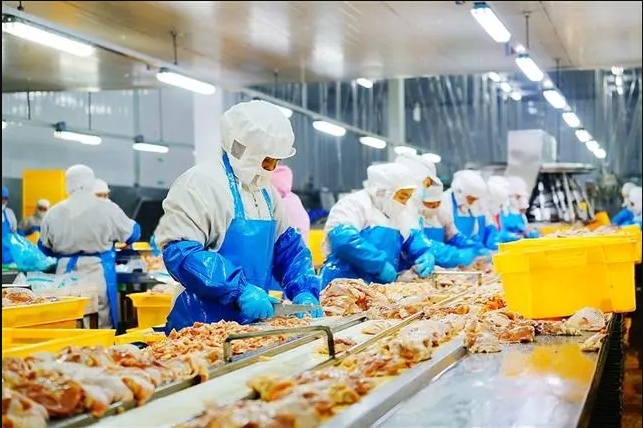 Automatic weight sorting machine for chicken wings: a precise tool for food processing