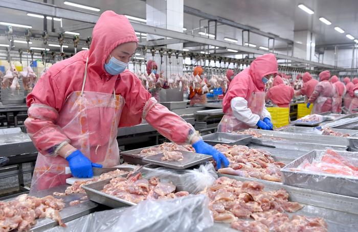 The Exquisite Collaboration of Chicken Chunks and Counterweight Machines: Enhancing Production Efficiency and Quality