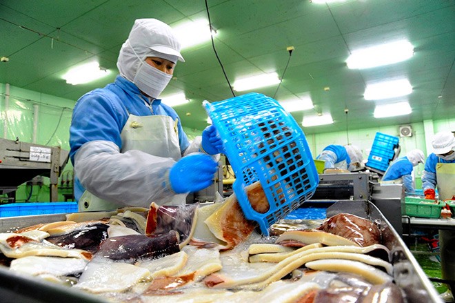 The Wonderful Integration of Fresh Squid and Weight Sorters: Achieving Quality and Efficiency