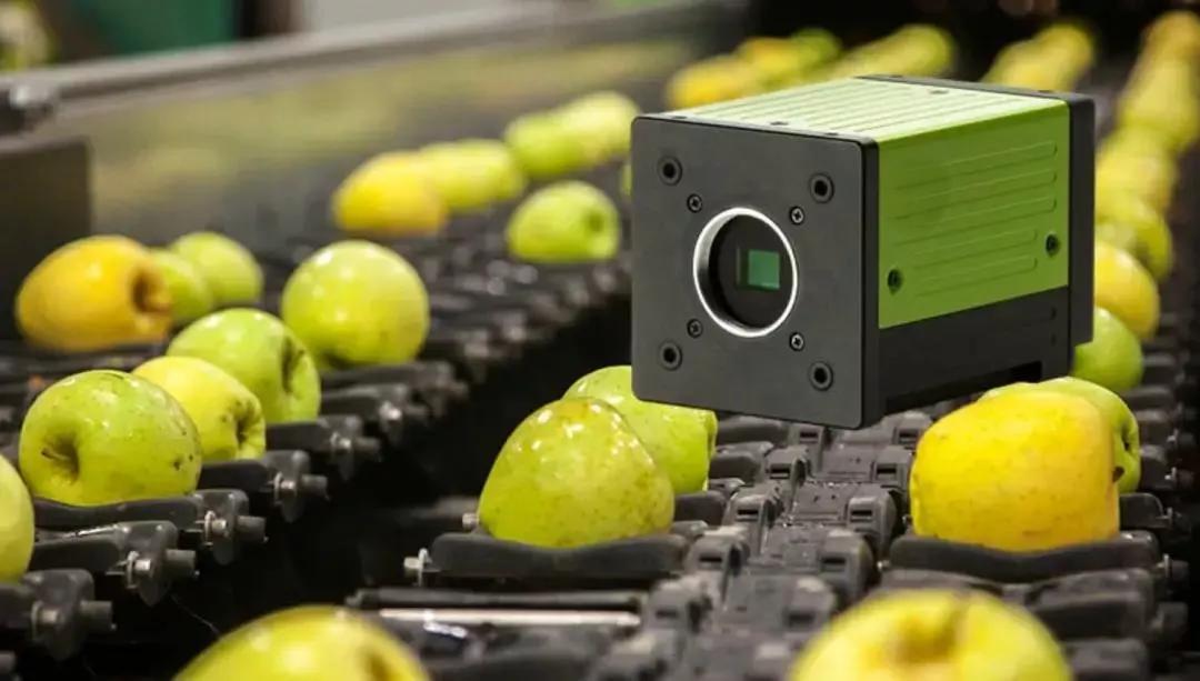 Vision Sorting Equipment: A Smart Revolutionizer in Multiple Industries