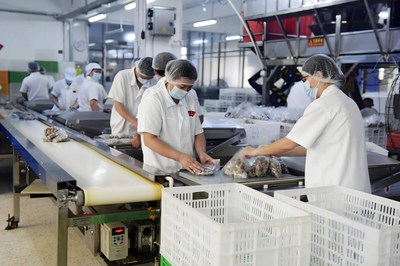 Automatic Online Weighing - Conveyor System Features