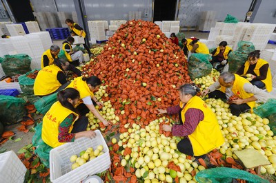 Automated Weighing & Sorting Solutions: Enhancing Efficiency and Standardization in Industries