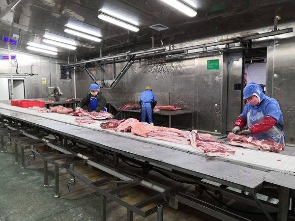 How Smart Weight Sorting Machines Cut 30% Costs in Pig Trotters Processing