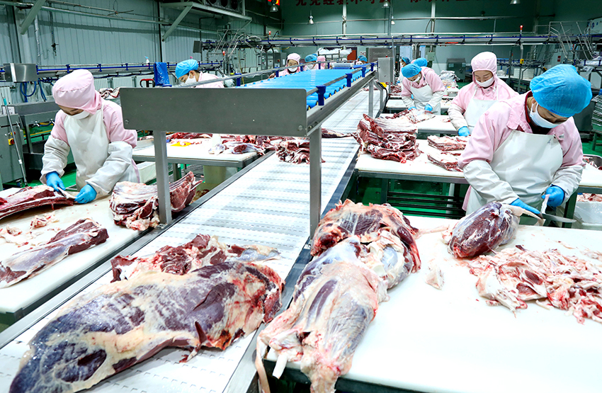 Automated Checkweighers: Precise Weight Sorting for Beef Cuts like Steaks & Legs, Also Fit for Pork