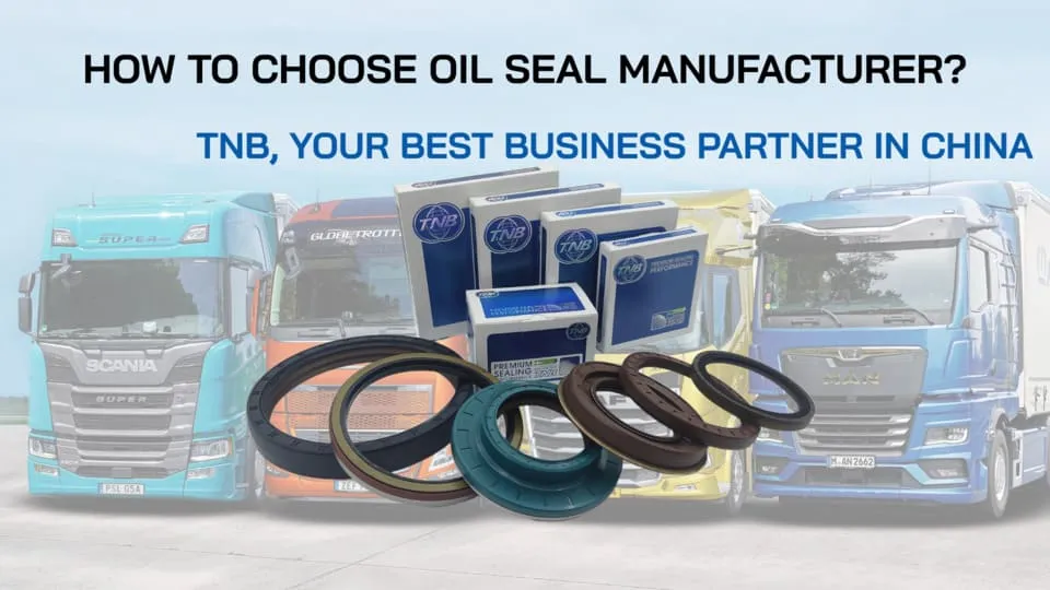 Choose with Confidence TNB Guides You to the High-quality Oil Seals