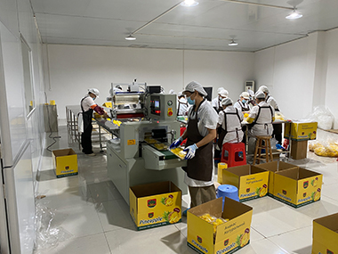 Jingbo Healthy Food Officially Launched its Independent Website, Opening a New Chapter in Healthy Living