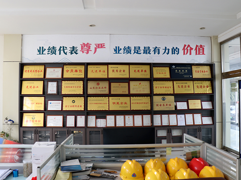 About Shandong Longyang