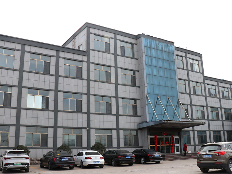 About Shandong Longyang