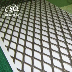 চ্যাপ্টা ইস্পাত প্লেট জাল