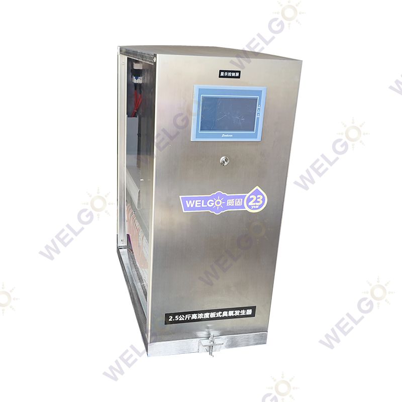 Air-Fed vs Oxygen-Fed Industrial Ozone Generators