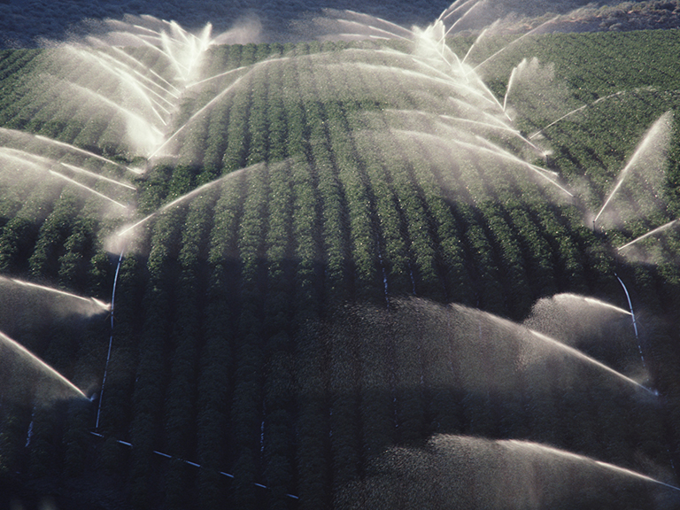 Agriculture & Irrigation