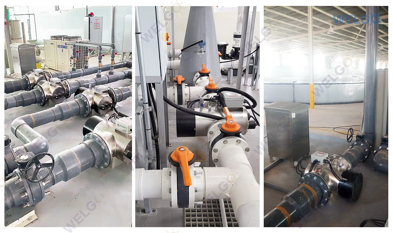 Series MPUV, Medium Pressure UV Disinfection System