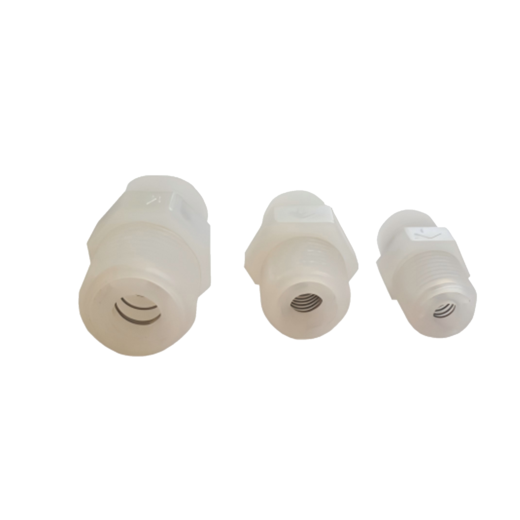 Ozone Check Valve