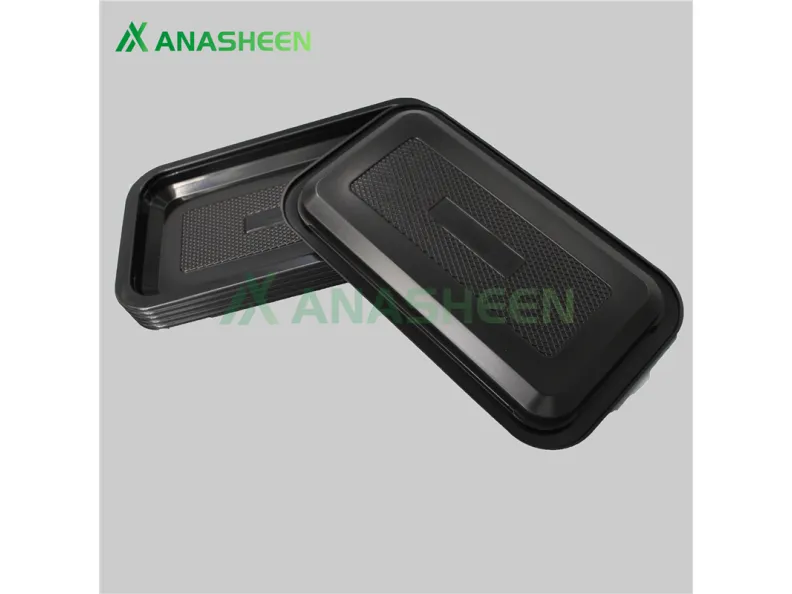 Elevating Your Business with Disposable Lunch Box Wholesale Solutions