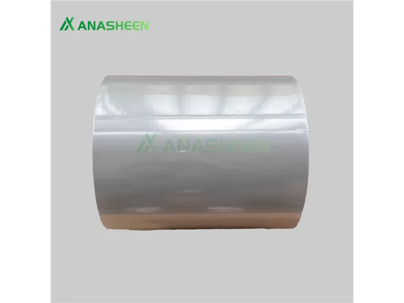 Maximizing Efficiency with Vacuum Skin Packaging Trays: A Comprehensive Case Study