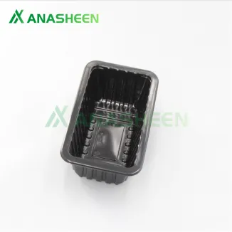 22*13*80 Fresh Packaging Anasheen