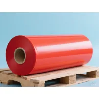 Kunststof plaat PP / PESheet-rollen voor voedseltrays