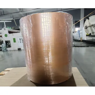 Kunststof plaat PP / PESheet-rollen voor voedseltrays