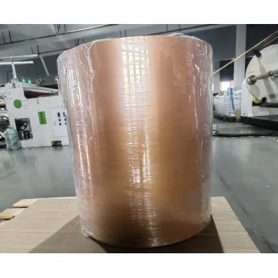 Kunststof plaat PP / PESheet-rollen voor voedseltrays