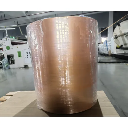 Kunststof plaat PP / PESheet-rollen voor voedseltrays