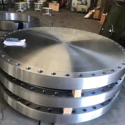 Flange cego