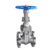 Api Standard Flange Gate Valve