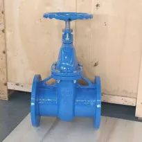 Din Standard Flange Gate Valve