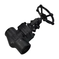 Forged Steel Globe Valve