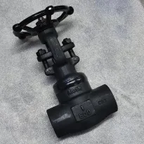 Forged Steel Gate Valve