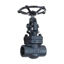 Forged Steel Globe Valve