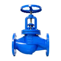 Din Standard Flange Globe Valve