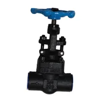 Forged Steel Globe Valve