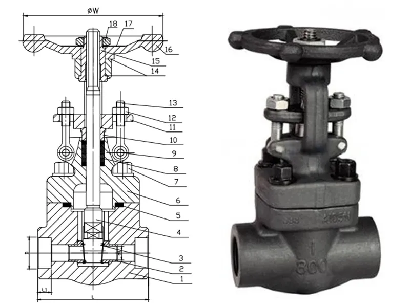 Forged Steel Globe Valve