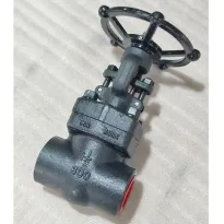 Forged Steel Gate Valve
