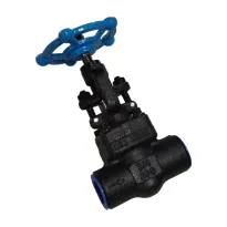 Forged Steel Globe Valve