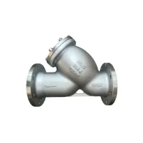 DIN Standard Flange Standard Y Strainer