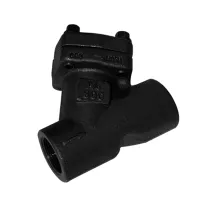 Forged Thread Y Strainer