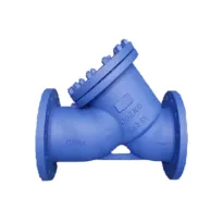 DIN Standard Flange Standard Y Strainer