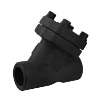 Forged Thread Y Strainer