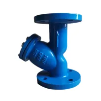 DIN Standard Flange Standard Y Strainer